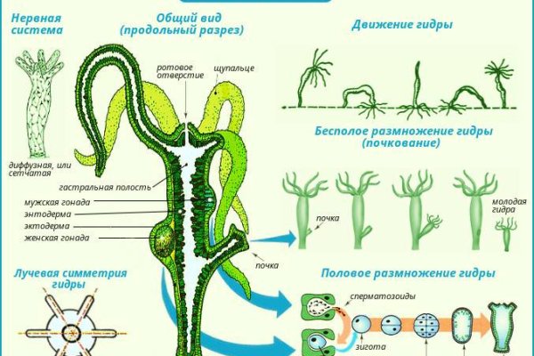 Кракен заблокировали