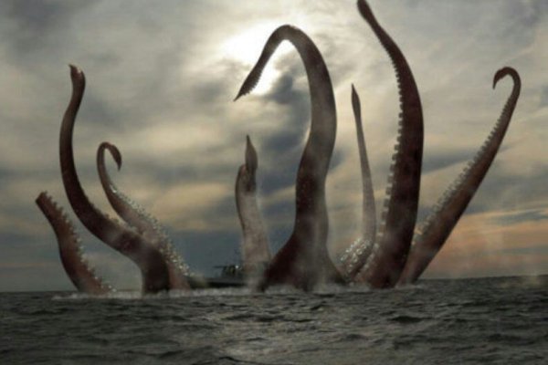 Kraken сайт даркнет